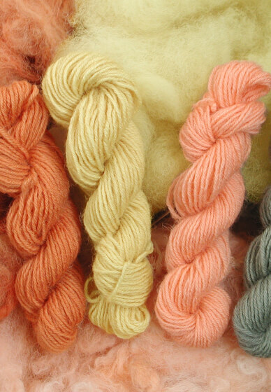 Natural Dyeing Workshop