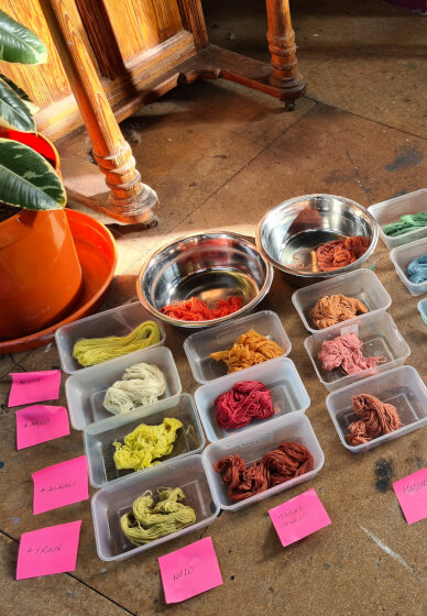 Natural Dyeing Workshop