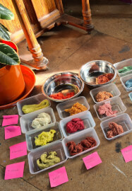 Natural Dyeing Workshop