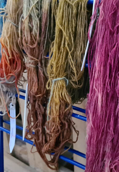 Natural Dyeing Workshop