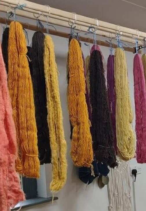 Natural Dyeing Workshop for Protein Fibres