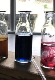 Natural Dyeing Workshop for Protein Fibres