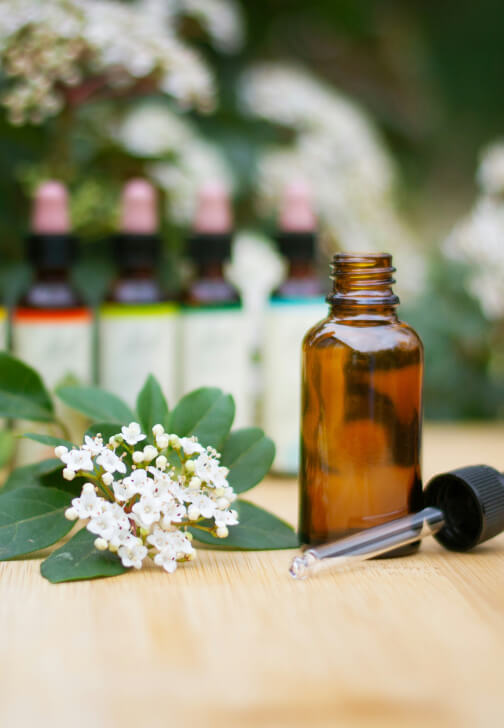 Natural Therapeutic Perfume Making Workshop
