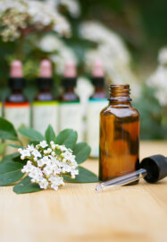 Natural Therapeutic Perfume Making Workshop