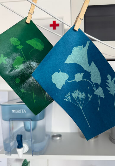 Nature Blueprint - Cyanotype Workshop