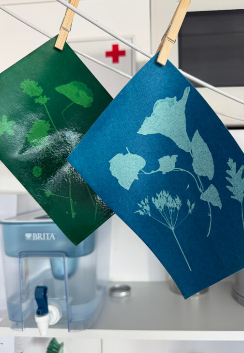 Nature Blueprint - Cyanotype Workshop
