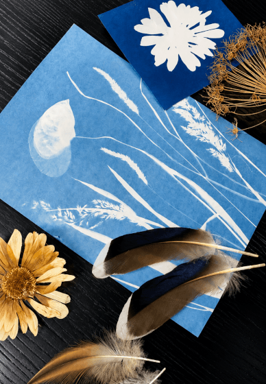 Nature Blueprint - Cyanotype Workshop