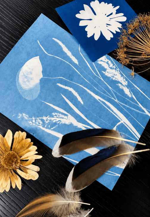 Nature Blueprint - Cyanotype Workshop