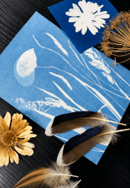 Nature Blueprint - Cyanotype Workshop