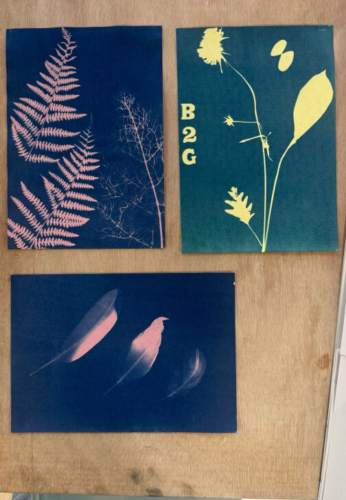 Nature Blueprint - Cyanotype Workshop