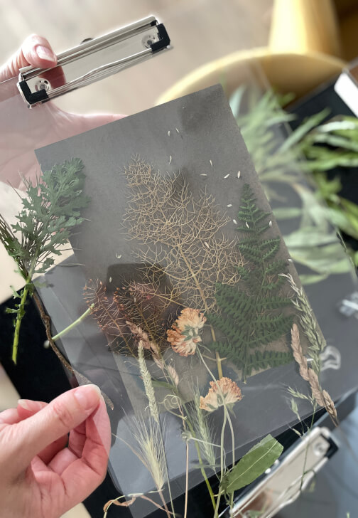 Nature Blueprint - Cyanotype Workshop