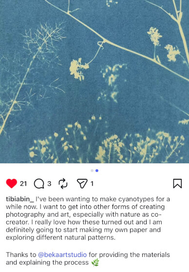 Nature Blueprint - Cyanotype Workshop