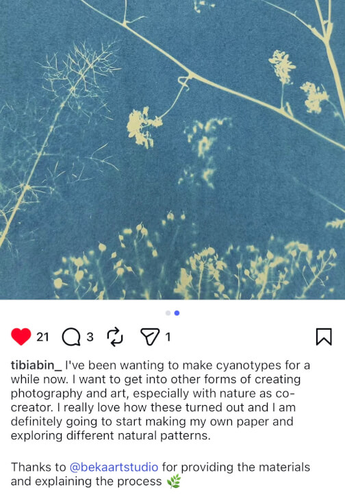 Nature Blueprint - Cyanotype Workshop