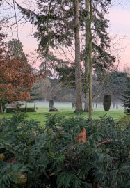 Nature Journaling Workshop