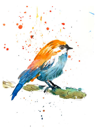 Nature Journaling Workshop
