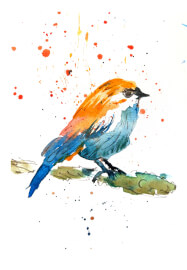 Nature Journaling Workshop