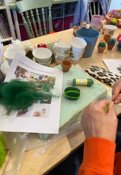 Needle Felted Plants Workshop