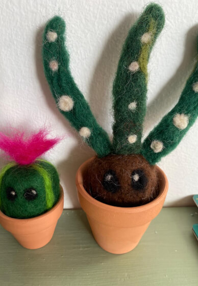 Needle Felted Plants Workshop
