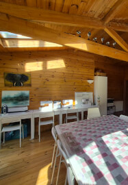 Needle Felting Workshop