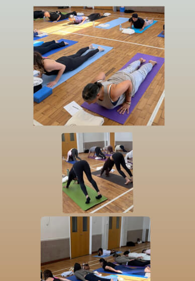 One Day Wellness Retreat