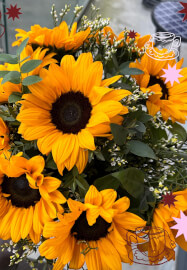 Paint a Plant Pot Workshop: Sunflower Social