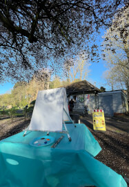 Paint in the Park Workshop