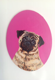Paint Your Pet