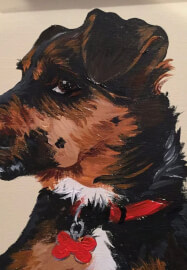 Paint Your Pet