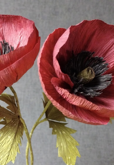 Paper Flowers Workshop - Poppies and Cornflowers