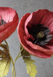 Paper Flowers Workshop - Poppies and Cornflowers