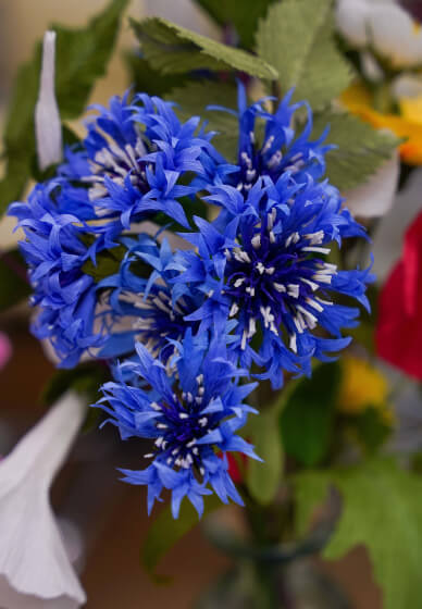 Paper Flowers Workshop - Poppies and Cornflowers