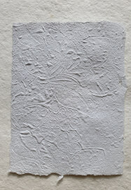 Paper Making Workshop