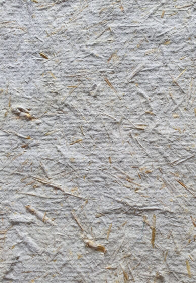 Paper Making Workshop