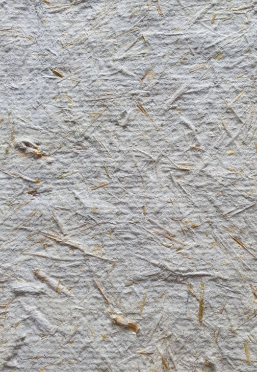 Paper Making Workshop