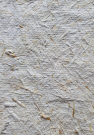 Paper Making Workshop