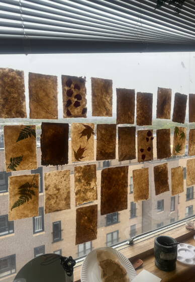 Paper Making Workshop