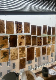 Paper Making Workshop