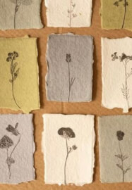 Paper Making Workshop