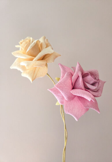 Paper Rose Making Class