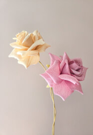 Paper Rose Making Class