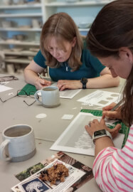 Papercutting Workshop - Dragonfly