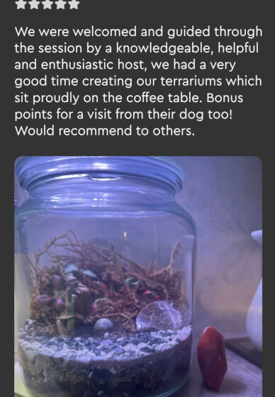 Party Time Terrarium Creations