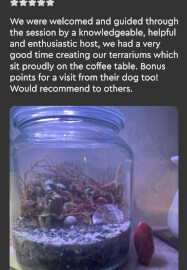 Party Time Terrarium Creations