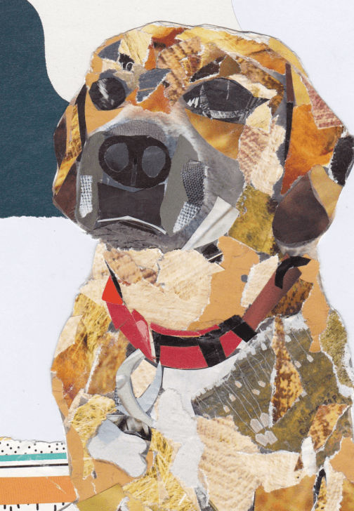 Pet Portraits in Collage Workshop