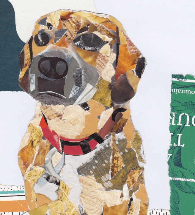 Pet Portraits in Collage Workshop