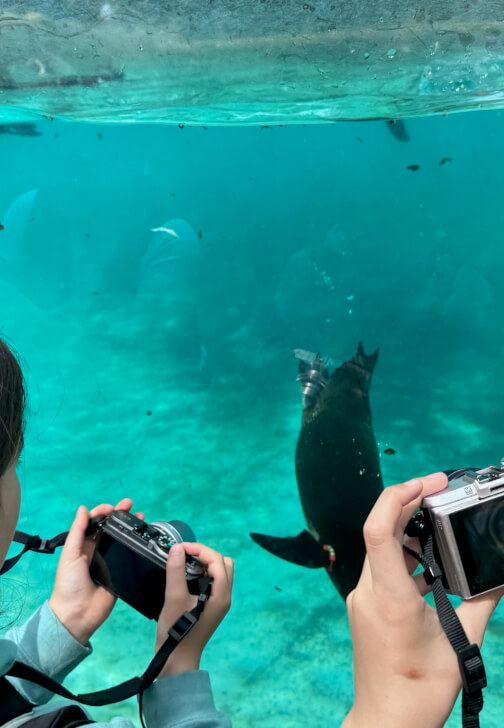 Photography Course: Celebrate the Summer