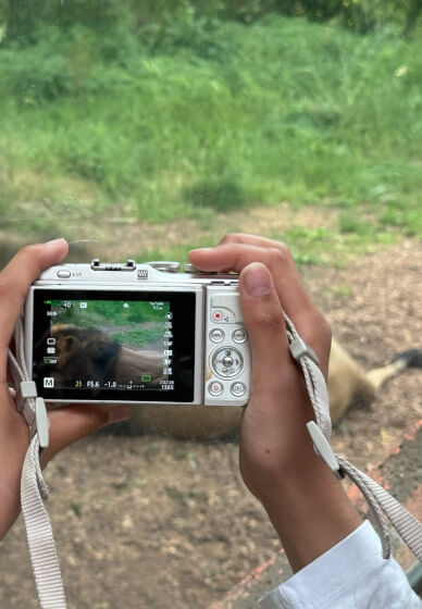 Photography Course: Celebrate the Summer