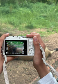 Photography Course: Celebrate the Summer