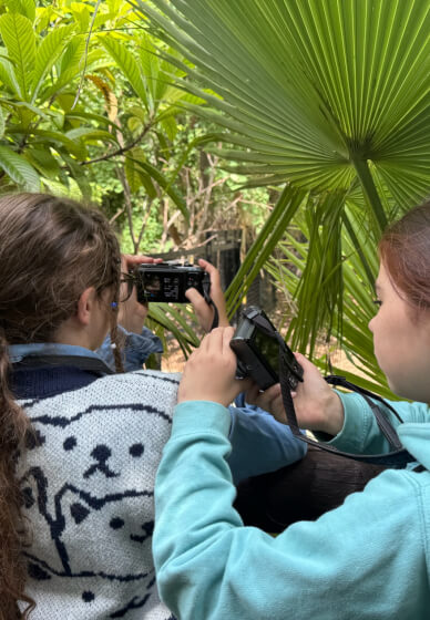 Photography Course: Celebrate the Summer