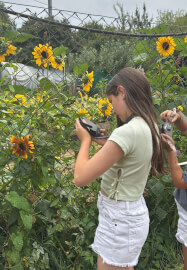 Photography Course: Celebrate the Summer